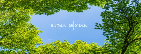 Anteprima efficienza energetica