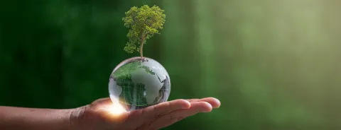 Anteprima protezione ambiente